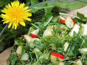 Весенний постный салат из листьев одуванчика